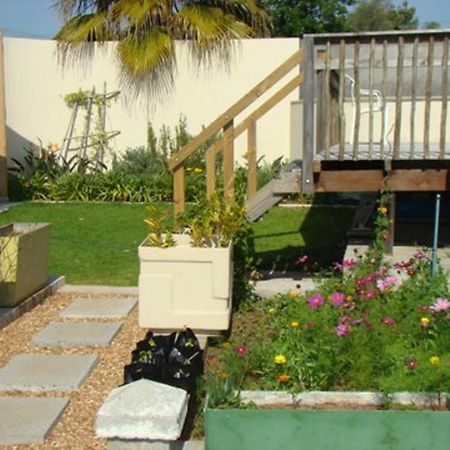 Disa Lodge Дарлинг Екстериор снимка